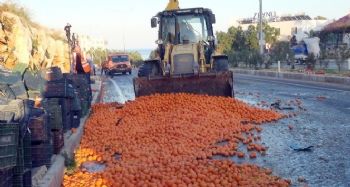 Tırdan dökülen narenciye karayolunu trafiğe kapattı
