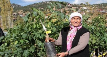 Mersin Büyükşehir Belediyesi'nden kırsal kalkınmaya destek