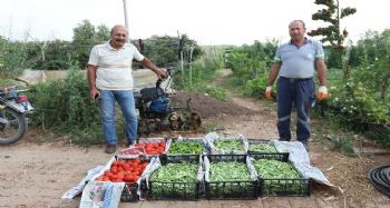 Gönüllü serasında üretilen ürünlerle, ihtiyaç sahiplerine yemek yapılıyor
