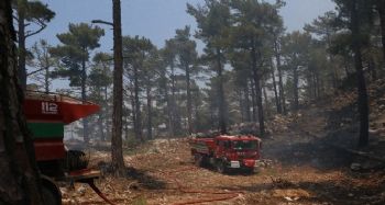 Mersin'deki orman yangınında soğutma çalışmaları devam ediyor