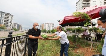 Kafe Kütüphanede karpuz hasadı