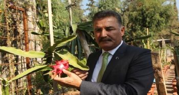 TOROSLAR BELEDİYESİ, ULUSLARARASI BİLİM DERGİSİNDE