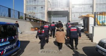 Temizlikçi kadınların akıl almaz hırsızlık oyunu