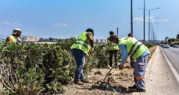 Park ve Bahçeler ekipleri, Erdemli'de refüjleri temizledi