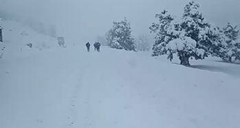 5 kilometre yürüyerek kar esaretinden kurtuldular