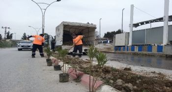 Refüjlere bodur bitki dikiliyor