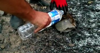 Küllerin arasında kalan kaplumbağaya can oldular