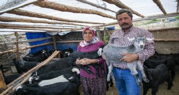 ‘Haydi Gel Köyümüze Destek Verelim’ projesi yeni doğumlarla büyüyor