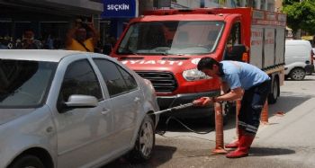 Yılan otomobilden inip, itfaiye aracına bindi