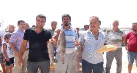 MERSİN’DE LAGOS BALIĞININ AVLANMA YASAĞINA TEPKİ