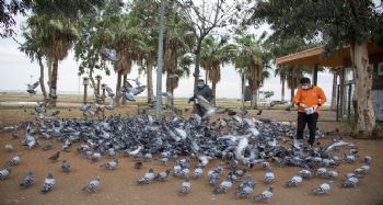 Mersin'de sokağa çıkma yasağında sokak hayvanları unutulmadı