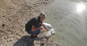 Mersin'deki su kaynaklarına 200 bin adet yavru sazan bırakıldı