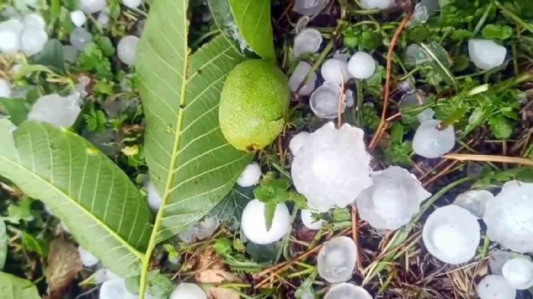 Mersin’de şiddetli dolu yağışı etkili oldu