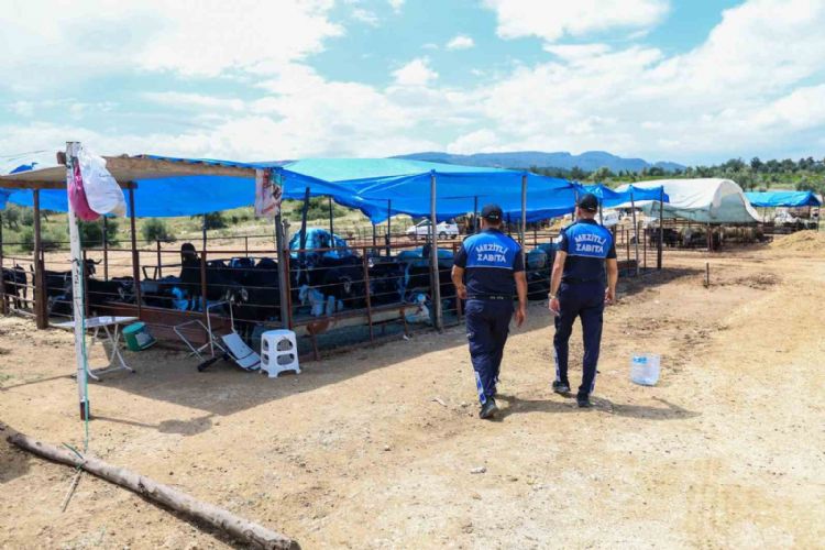 Mezitli’de Kurban Bayramı öncesi sıkı denetim
