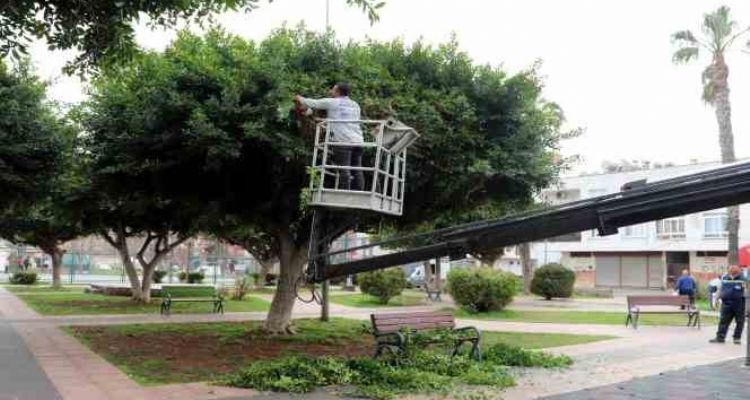 Akdeniz'de park, bahçe ve yeşil alanlar yenileniyor