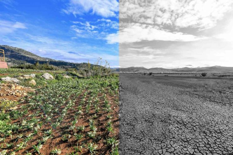 ‘Mersin Sürdürülebilir Enerji ve İklim Eylem Planı’ hazırlandı