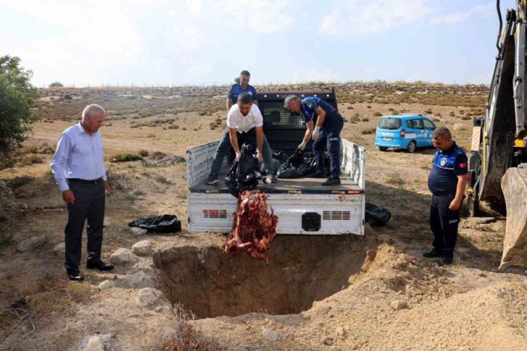 Mersin’de menşei belirsiz 500 kilo et ele geçirildi