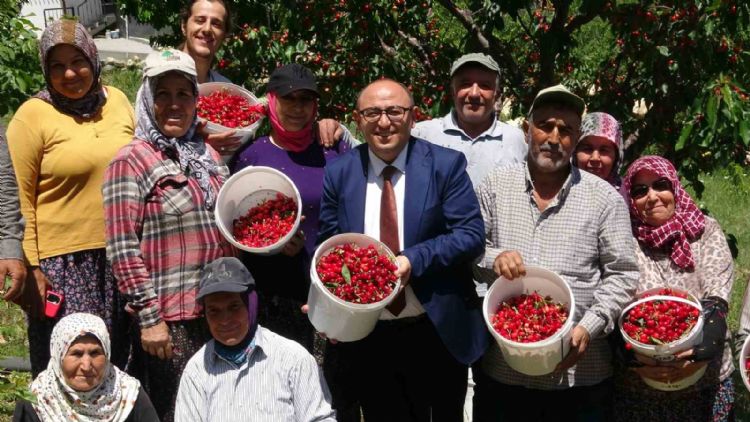 Mersin’de turfanda kiraz hasadı başladı
