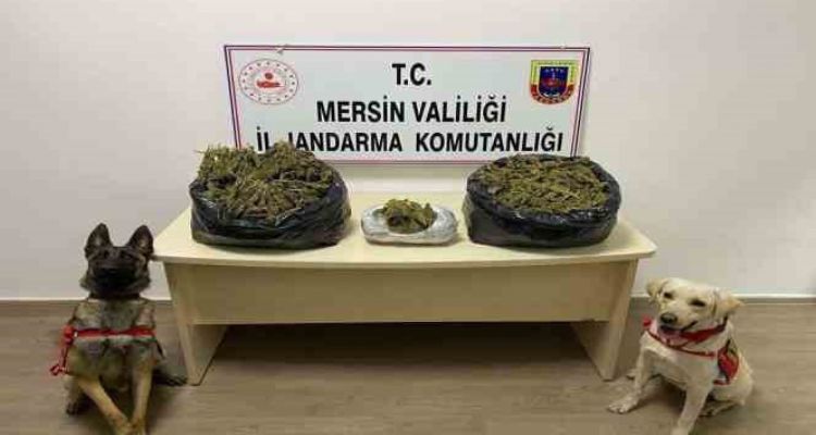 Mersin'de uyuşturucu operasyonu: 2 gözaltı