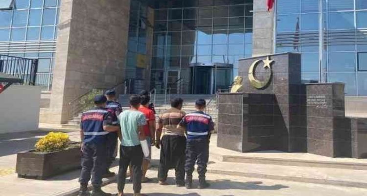 Bahçeden avokado çalarken yakalanan 2 şüpheli tutuklandı