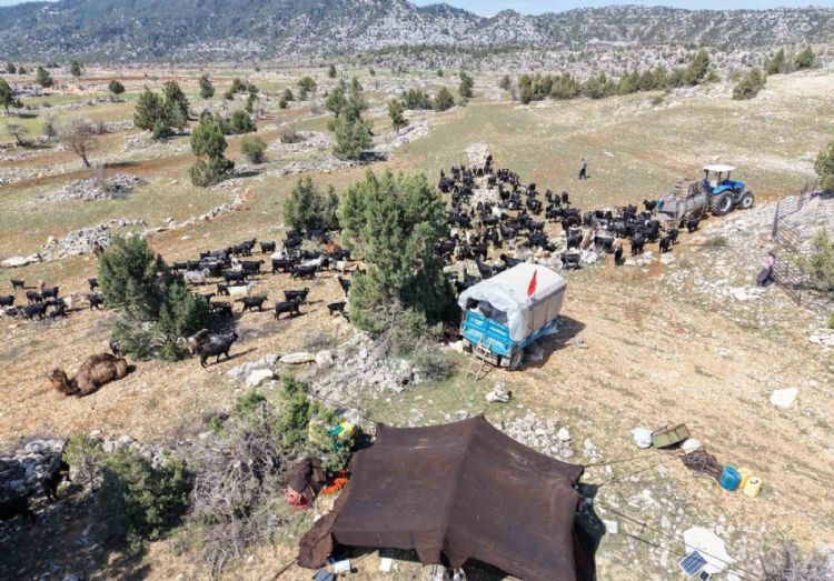 Toroslar’da Yörük göçü başladı: Sarıkeçililer yayla yolunda