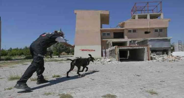 K9 eğitmenleri Mersin'de ortak çalışma yaptı