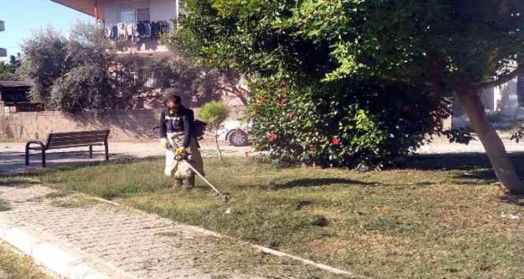 Akdeniz'de park ve yeşil alanlar elden geçiriliyor