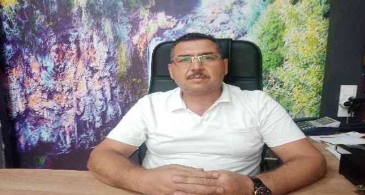 Zeytinde fiyatlar düştü, yağında ikiye katlandı
