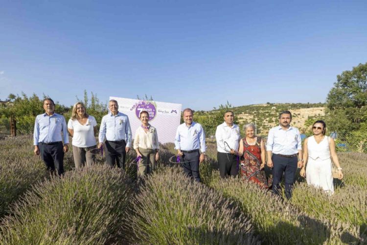 Mersin’de ‘7. Lavanta Hasat Şenliği’ düzenlendi