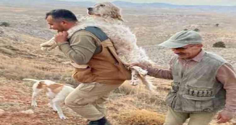 Yorulan köpeğini 5 kilometre sırtında taşıdı