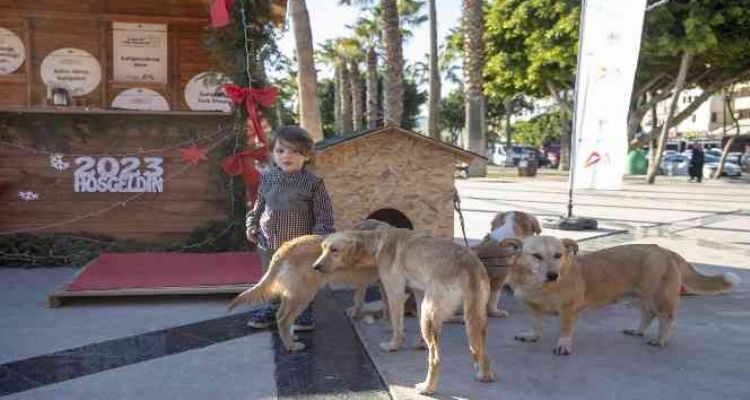 Mersin'de sahiplendirme standı ilgi gördü