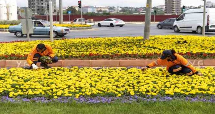 Mersin renkleniyor