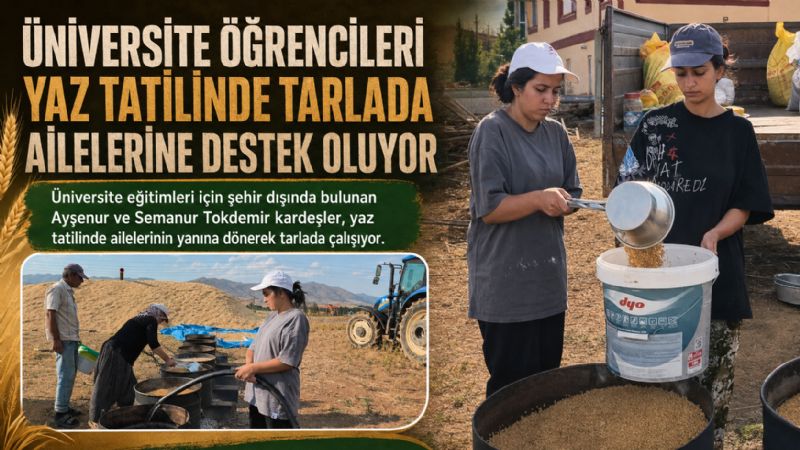 Üniversite öğrencileri yaz tatilinde tarlada ailelerine destek oluyor
