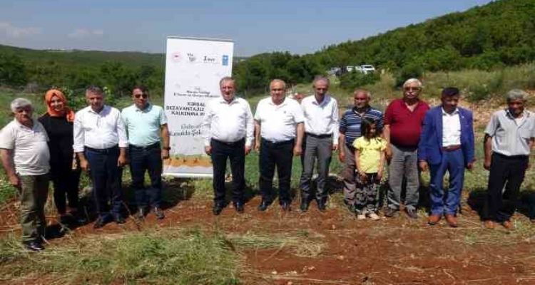 Erdemli'de 850 rakıma modern ceviz bahçesi kuruldu
