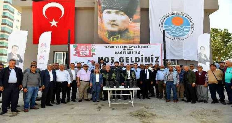 Tarsus ve Çamlıyayla'da çiftçilere alıç fidanı dağıtıldı