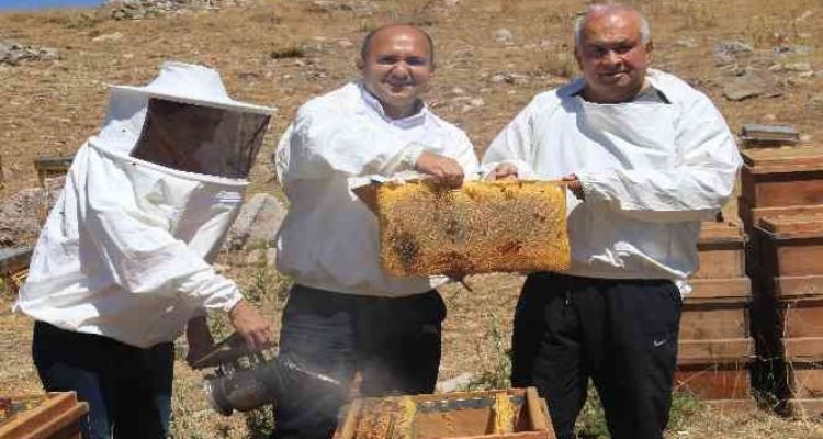 Petekler balla doldu, üreticinin yüzü güldü