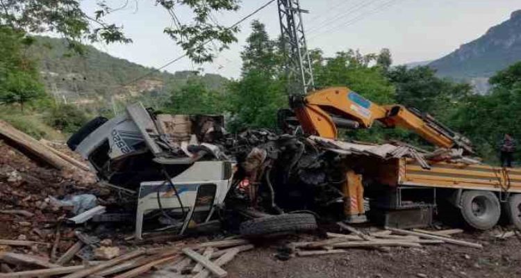 Kontrolden çıkan vinç ağaca çarptı: 2 ağır yaralı