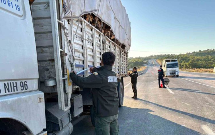 Mersin’de orman suçlarına karşı denetimler sürüyor