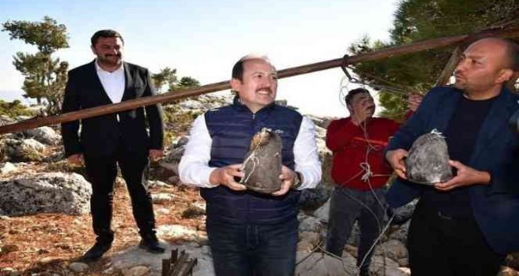 Vali Pehlivan, ‘obruk peyniri’ çıkarma etkinliğine katıldı