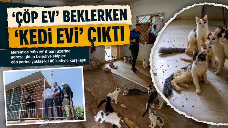 ‘Çöp Ev’ beklerken ‘Kedi Evi’ çıktı