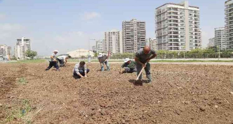 Mezitli'de ihtiyaç sahipleri için sebze bahçesi