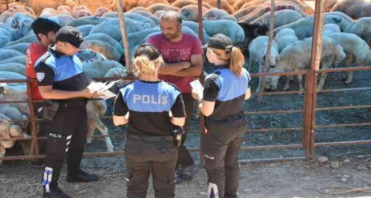 Mersin'de hayvan satıcıları dolandırıcılara karşı bilgilendiriliyor
