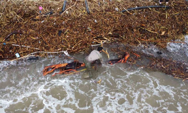 Sel sonrası ‘milyonluk’ yazlıkların önünde ‘ekmek’ mücadelesi