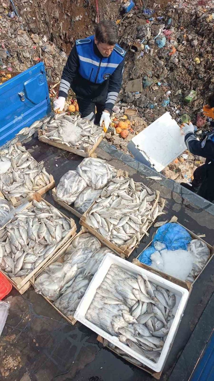 Tarsus’ta 16 kasa balık imha edildi