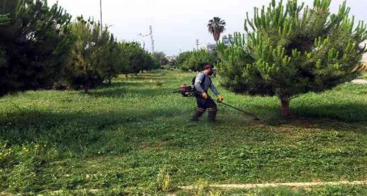 Akdeniz'de park ve yeşil alanlar yenileniyor
