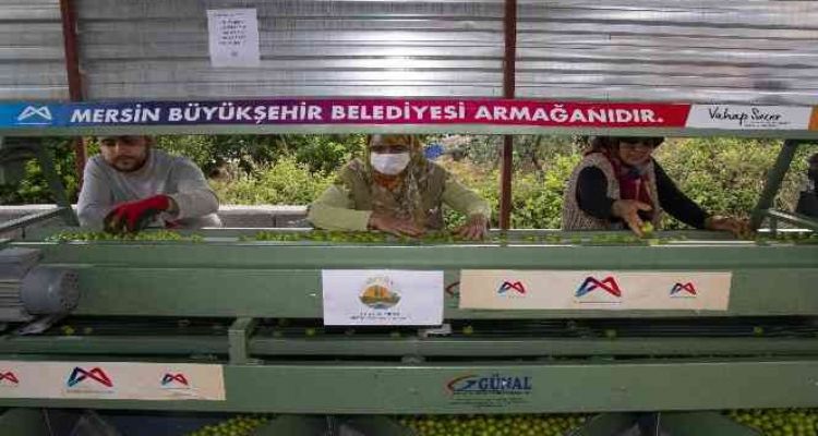 Büyükşehir Belediyesinden Mut'a bir erik boylama makinesi daha