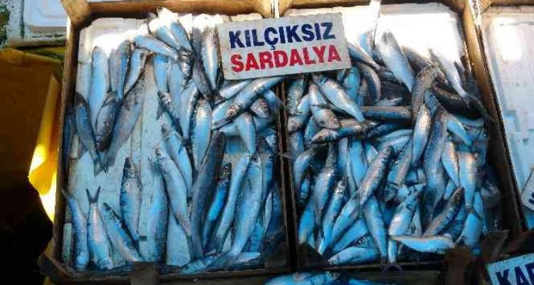 Av yasağından sonra tezgahlar boş kaldı