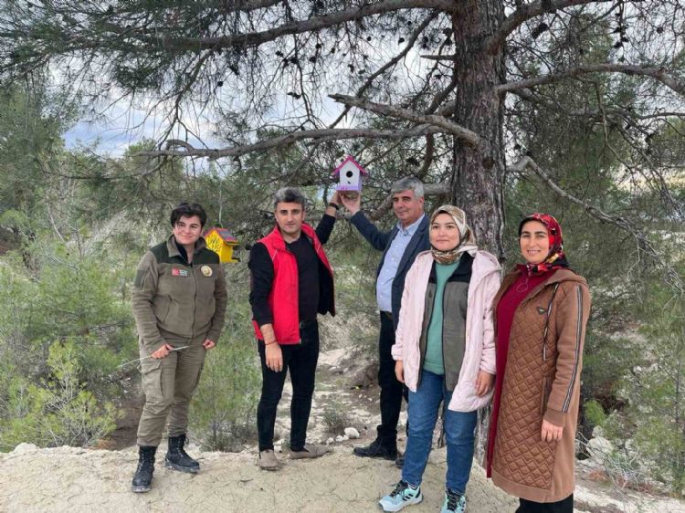 Rengarenk kuş yuvaları ormanı süsledi