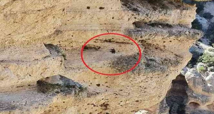 Keçileri kurtarmak isterken mahsur kaldı, ekipler kurtardı