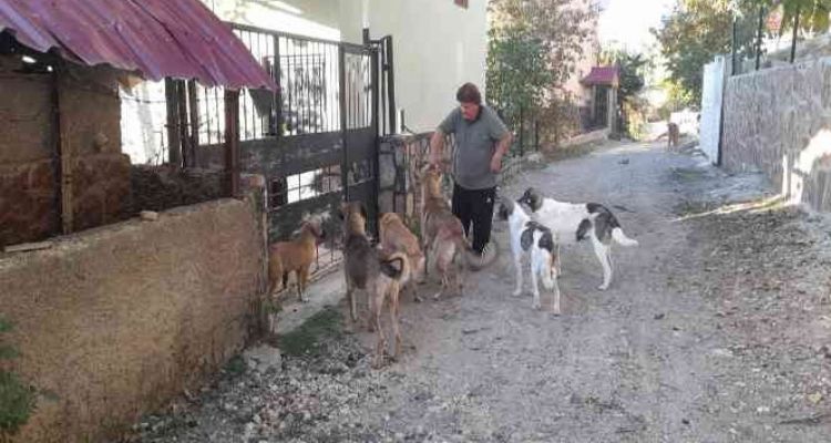 Yaylalar boşalınca aç kalan hayvanları muhtar doyurdu